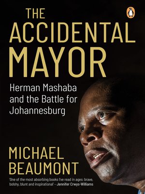 cover image of The Accidental Mayor